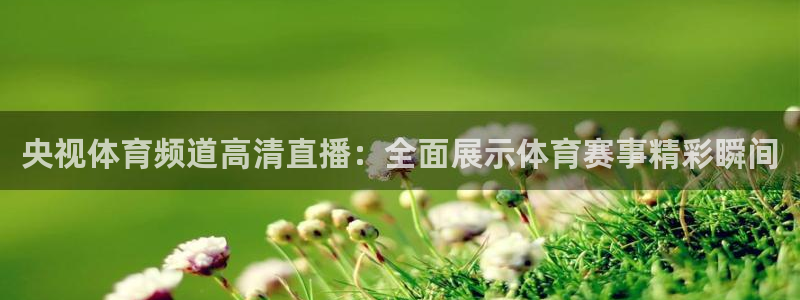 央视体育频道高清直播：全面展示体育赛事精彩瞬间