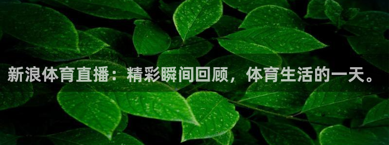 新浪体育直播：精彩瞬间回顾，体育生活的一天。