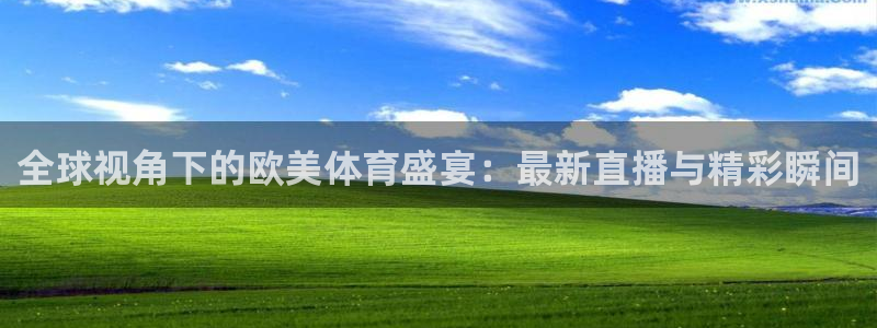 全球视角下的欧美体育盛宴：最新直播与精彩瞬间