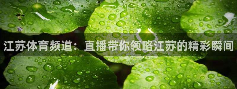 江苏体育频道：直播带你领略江苏的精彩瞬间